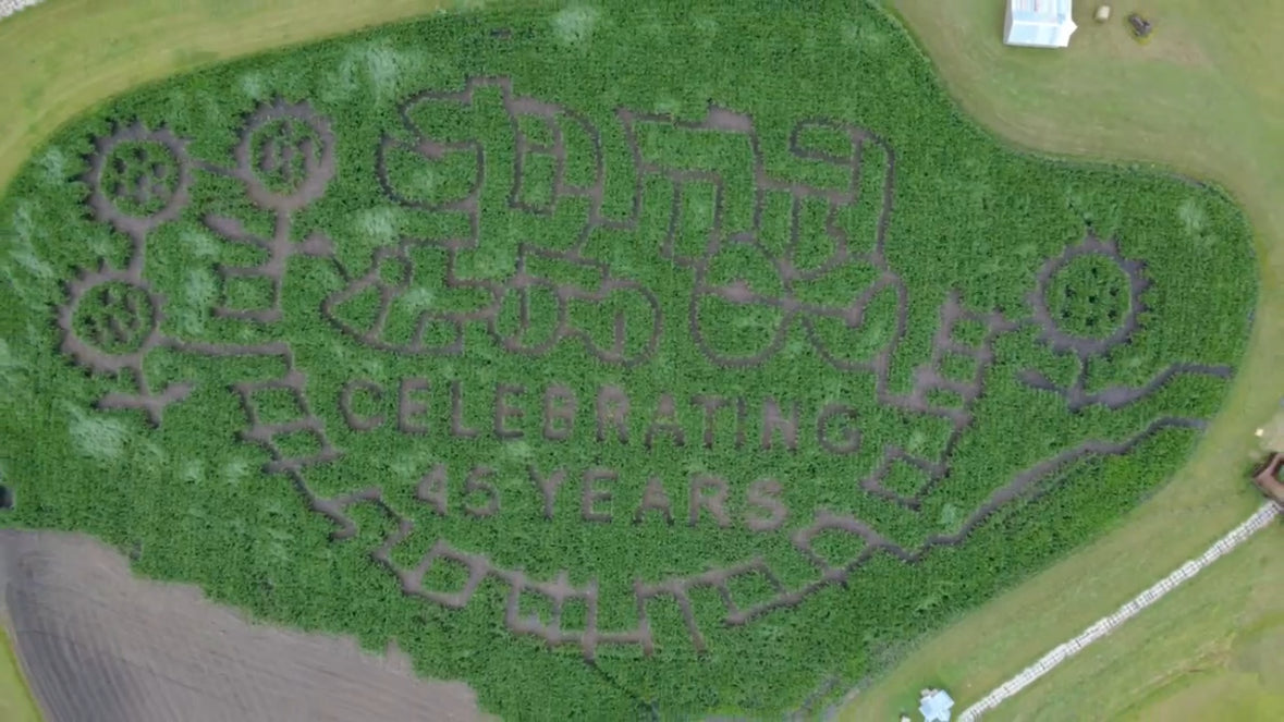 Corn Maze