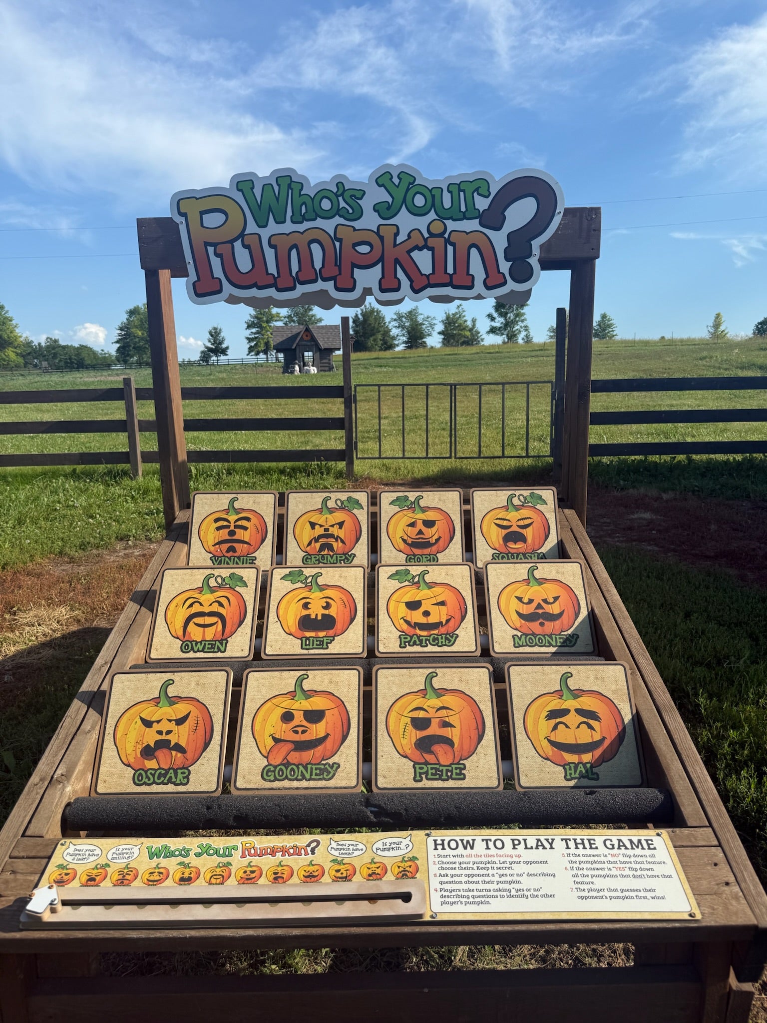 Who's Your Pumpkin?