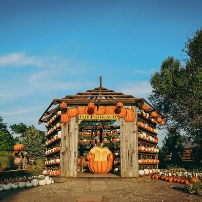 Pumpkin Gazebo