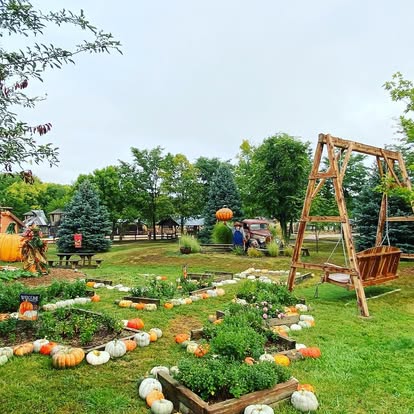 Pumpkin Land