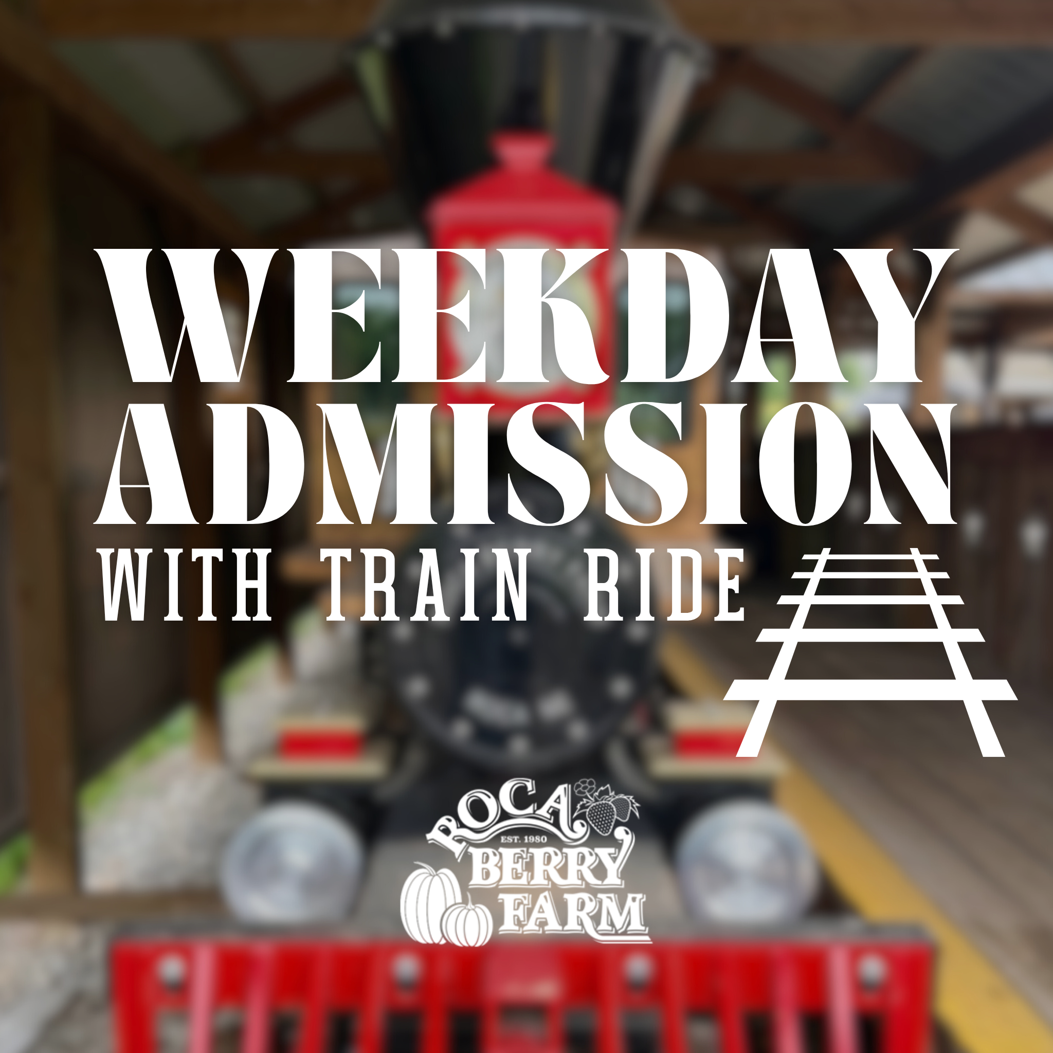 Weekday Fall Festival Admission M-Th