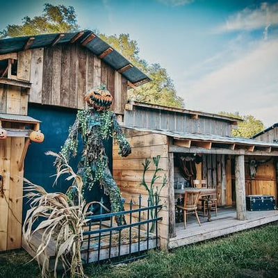 Daytime Haunted Hayrack Ride