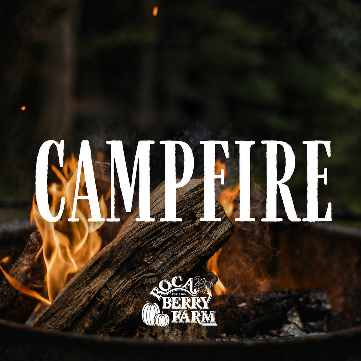 Campfire Reservations 2026