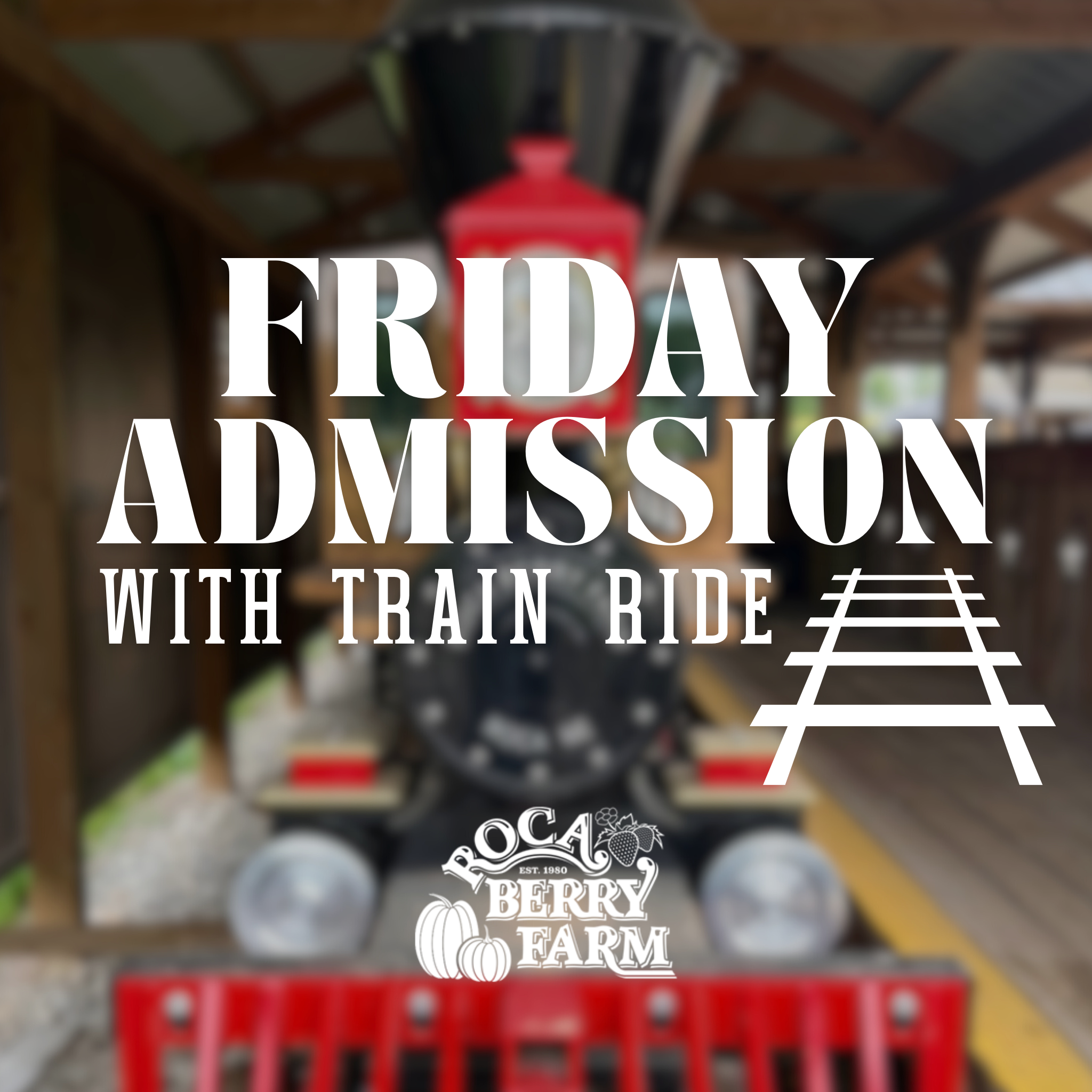 Friday Fall Festival Admission